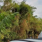 Alta Vista Turbaco