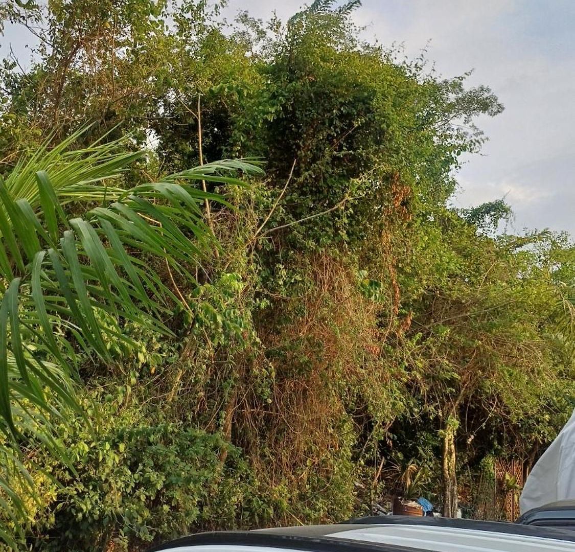 Alta Vista Turbaco Lodge Cartagena