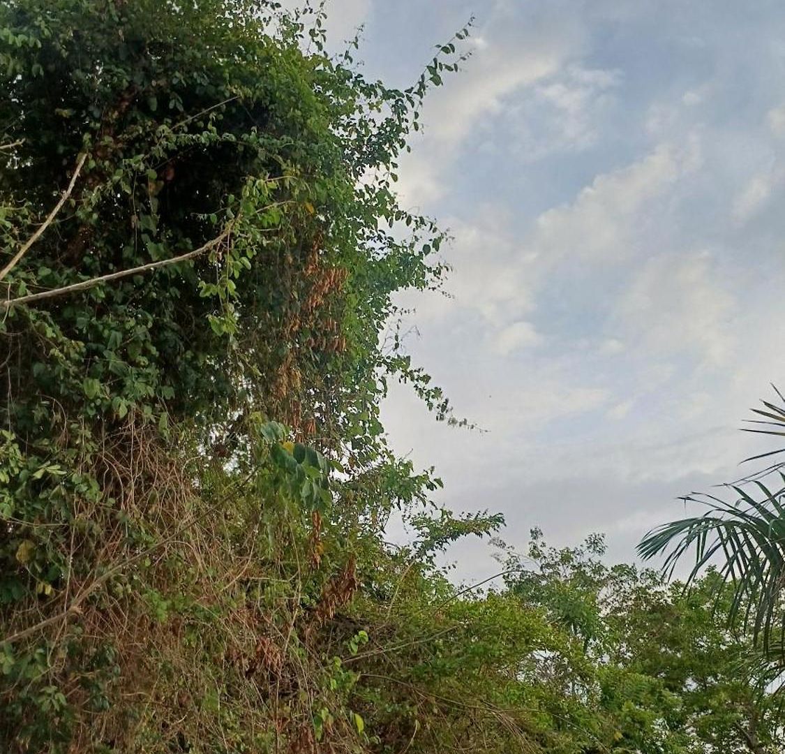 Alta Vista Turbaco Lodge