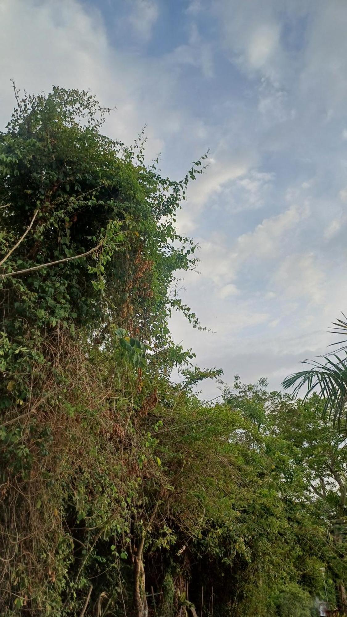 Alta Vista Turbaco Lodge