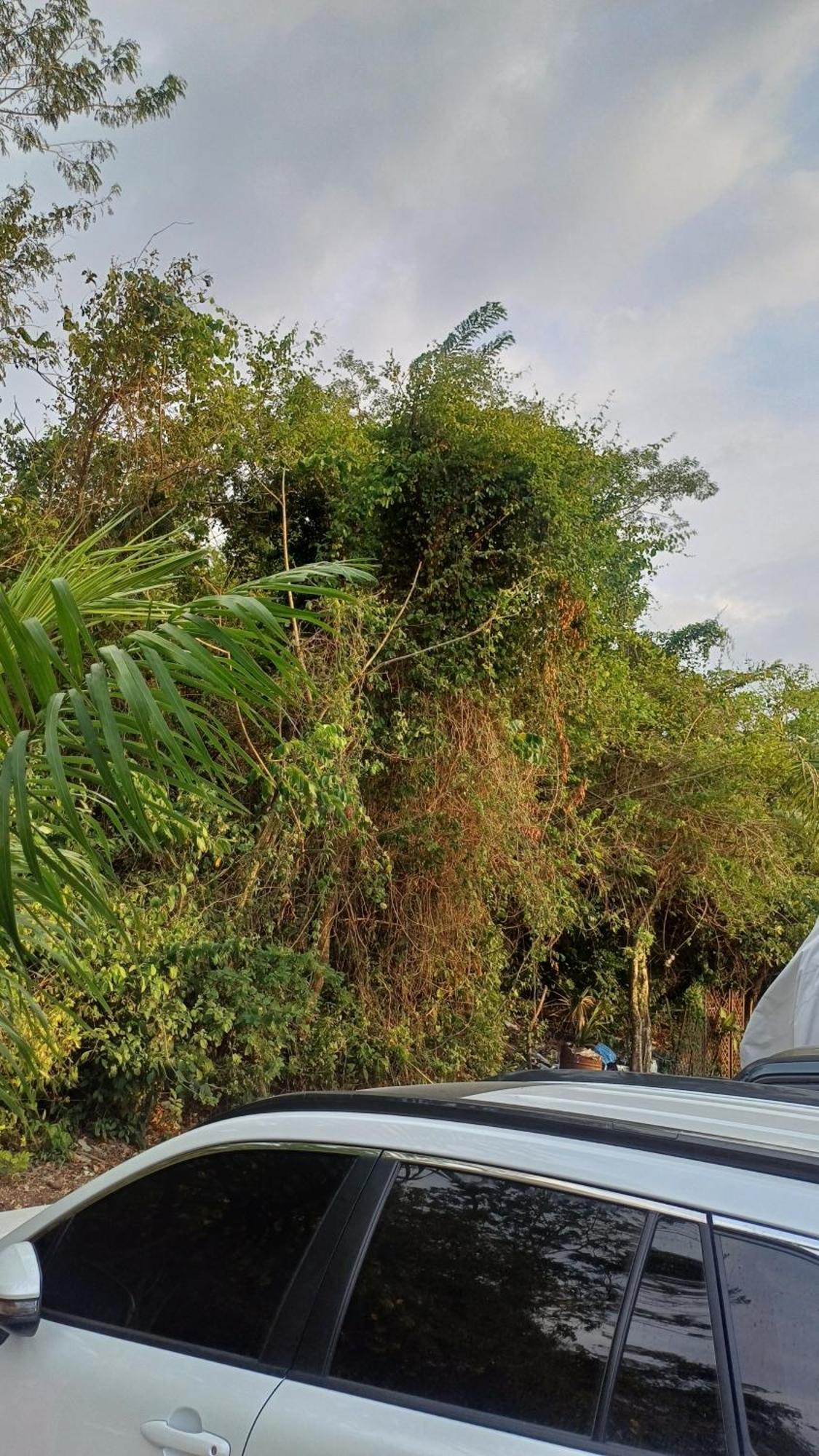 Alta Vista Turbaco Lodge Cartagena